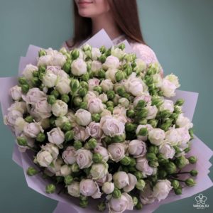 Букет из 25 кустовых роз «Сильвер Баблз»
