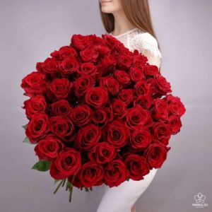 Букет из 51 розы "Эксплорер"