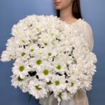 Монобукет из 11 кустовых хризантем 