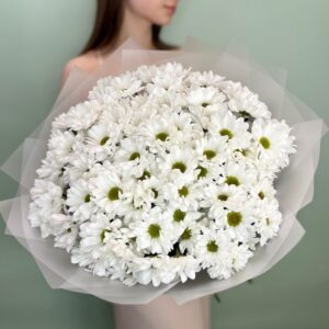 Букет из 15 кустовых хризантем "Чик"